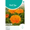 Horti Tops Moestuin>Goudsbloem Orange King