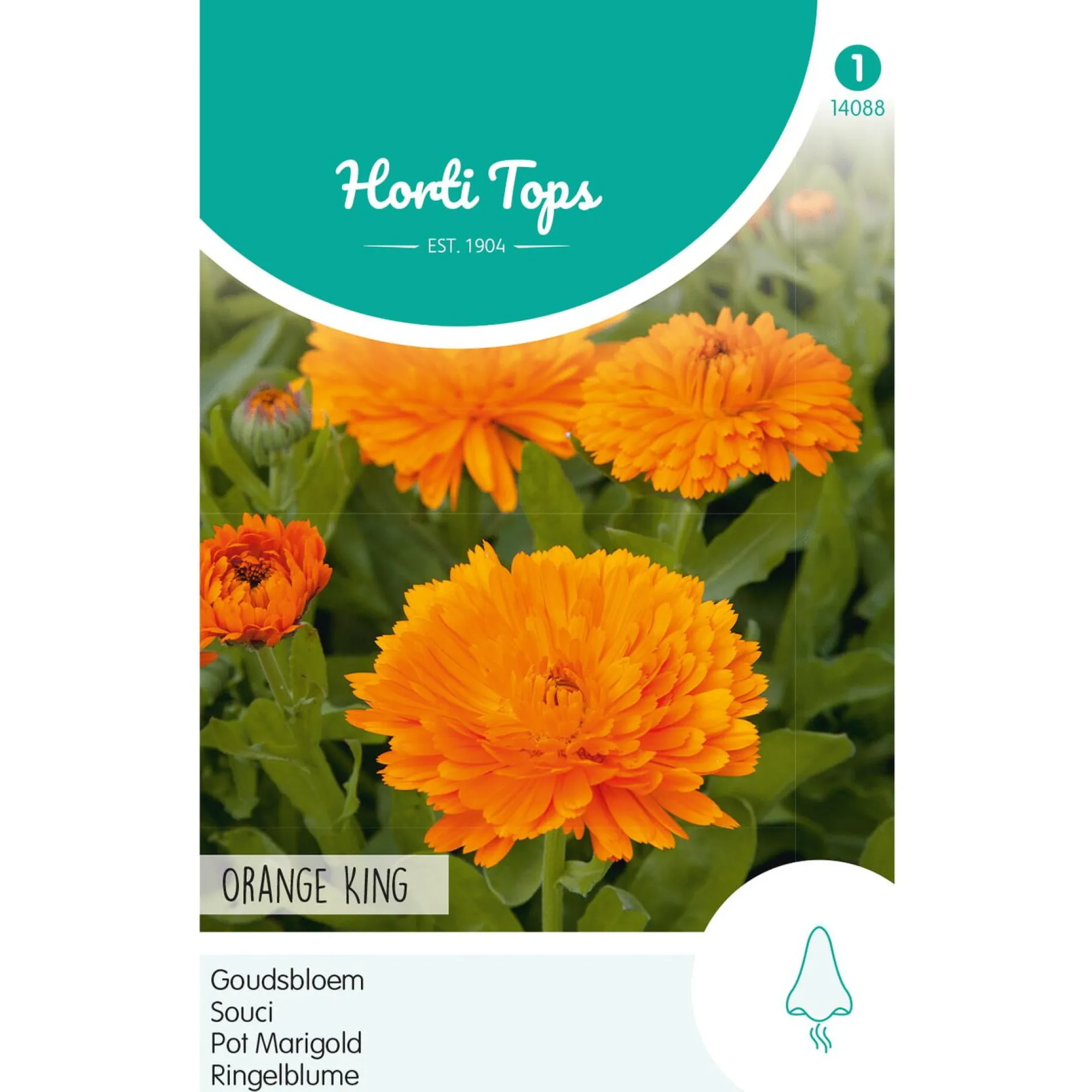Horti Tops Moestuin>Goudsbloem Orange King