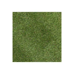 Bel Garden Grondbedekking>Grastapijt Carrow Road 1x4M