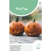 Horti Tops Moestuin>Halloween Pompoen Jack O'Lantern zaad