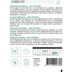 Horti Tops Moestuin>Halloween Pompoen Jack O'Lantern zaad