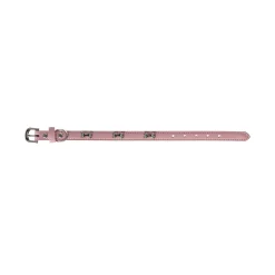 Friendly Pet Hondenriem>Halsband bot roze 16mmx35cm