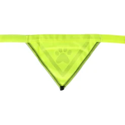 Friendly Pet Hondenriem><noscript><img width=