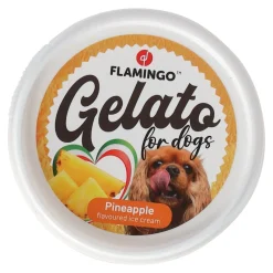 Flamingo Hondensnacks>Hondenijs Gelato ananas/banaan/framboos