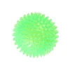 Friendly Pet Hondenspeelgoed>Hondenspeelgoed bal spike medium TPR