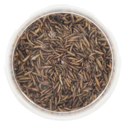 Smulti Vogelvoer>Insectenmix 3L