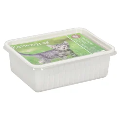 Gebr. de Boon Kattenverzorging>Kattengras