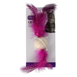 Friendly Pet Kattenspeeltjes>Kattenspeeltje bal + hout assorti