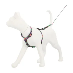 Friendly Pet Kattenverzorging>Kattentuig set jazz stripe eco FP