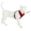 Friendly Pet Kattenverzorging>Kittentuig zwart/rood 10mmx110cm