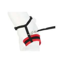 Friendly Pet Kattenverzorging><noscript><img width=