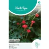 Horti Tops Moestuin>Klimmende winde Cardinal Climber