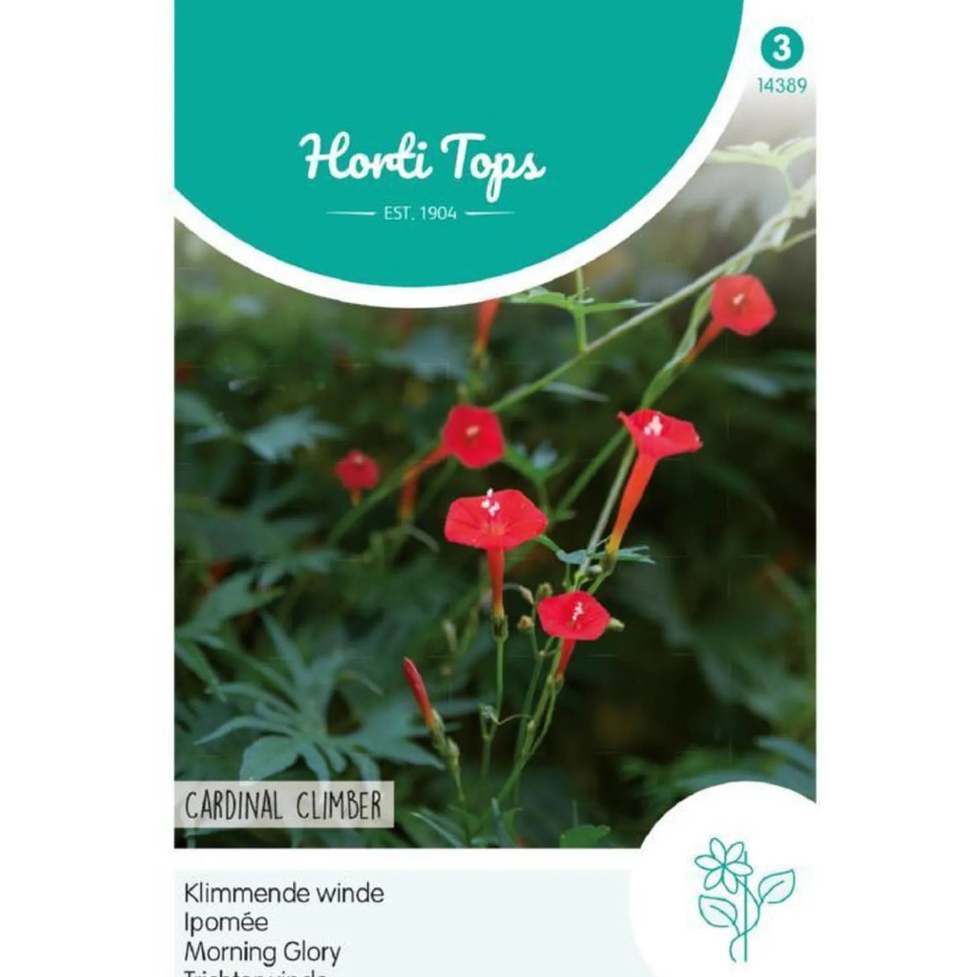 Horti Tops Moestuin>Klimmende winde Cardinal Climber