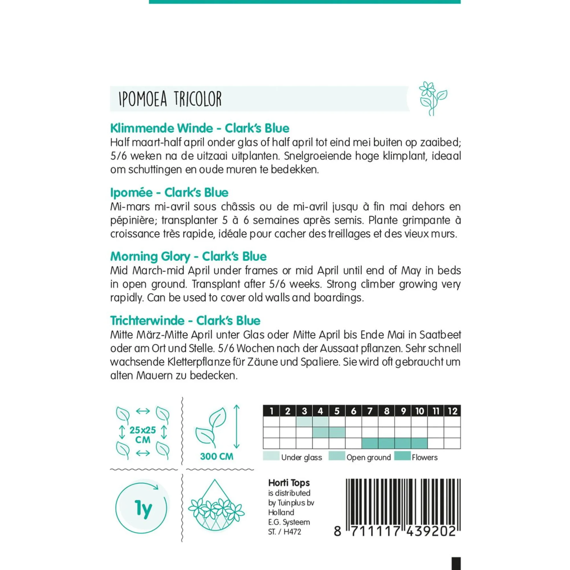 Horti Tops Moestuin>Klimmende Winde Clark Blue