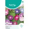 Horti Tops Moestuin>Klimmende winde Mix