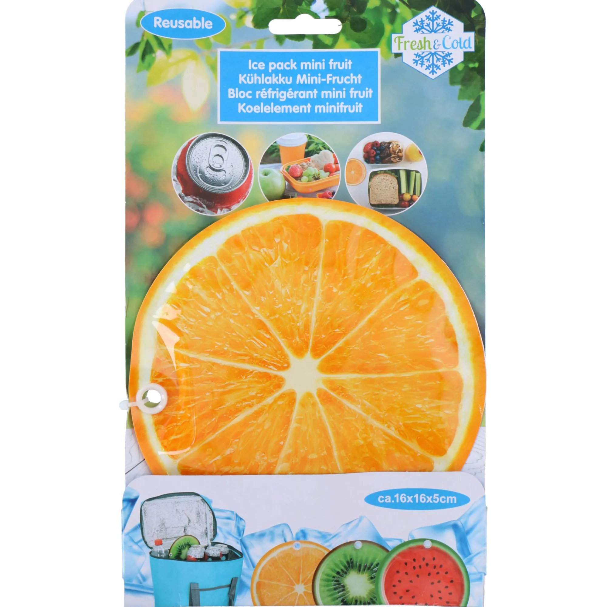 Van Cranenbroek Koelboxen>Koelelement 16x16x5cm