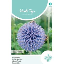 Horti Tops Moestuin>Kogeldistel Blue Globe