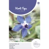 Horti Tops Moestuin>Komkommerkruid borage zaad