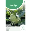 Horti Tops Moestuin>Koolrabi Superschmelz zaad