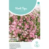 Horti Tops Moestuin>Kruipend Gipskruid roze