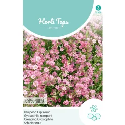 Horti Tops Moestuin>Kruipend Gipskruid roze