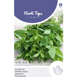 Horti Tops Moestuin>Kruizemunt zaad