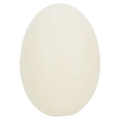 Friendly Pet Kip>Kunstei terracotta kip