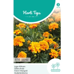Horti Tops Moestuin>Lage Afrikaan Petite Orange