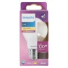 Philips Bouwlampen>Lamp LED peer mat 100W E27