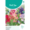 Horti Tops Moestuin>Lathyrus Colorama Mix