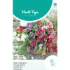 Horti Tops Moestuin>Lathyrus Royal Mix