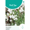 Horti Tops Moestuin>Lathyrus Royal White