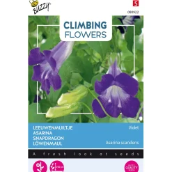 Buzzy Moestuin>Leeuwenmuiltje Violet