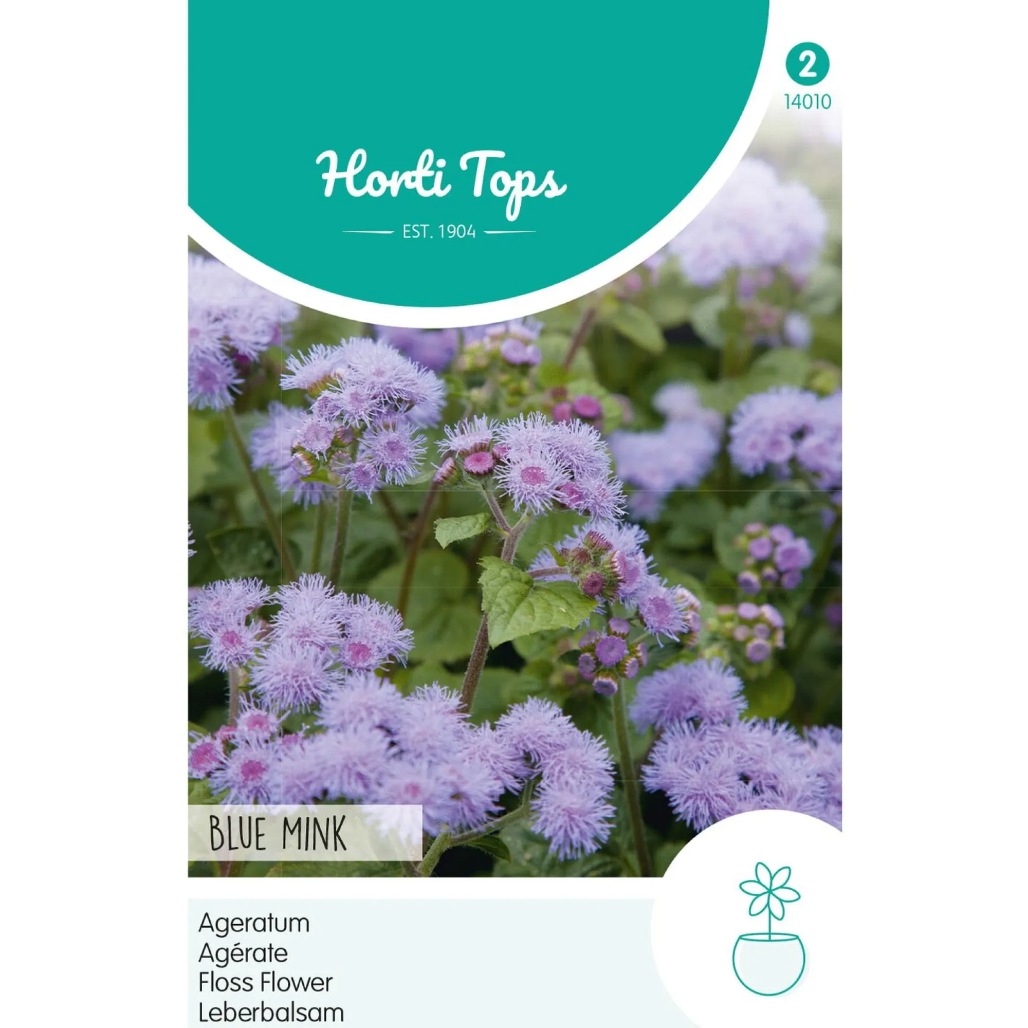 Horti Tops Moestuin>Leverbalsem Blue Mink