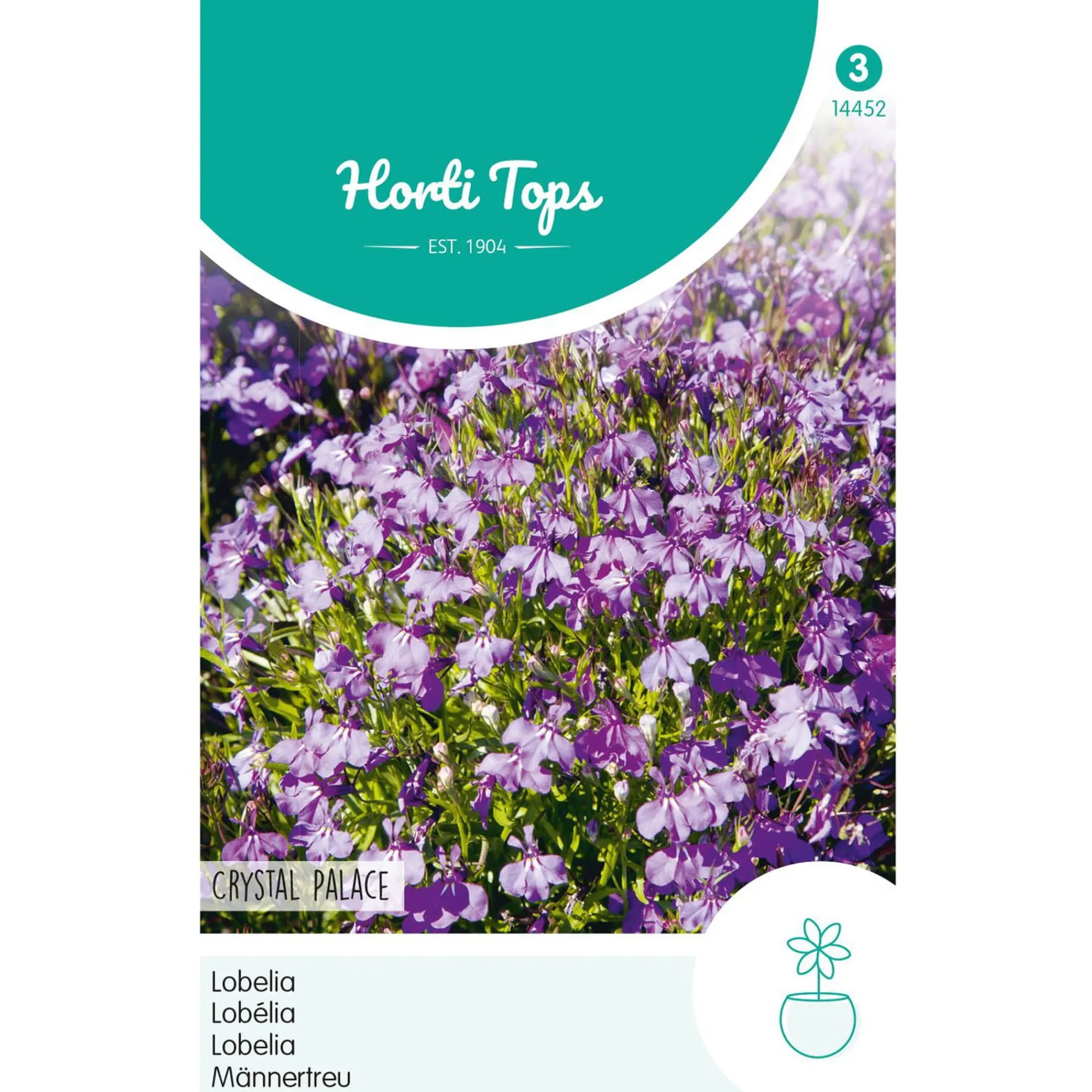Horti Tops Moestuin>Lobelia Crystal Palace