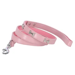 Friendly Pet Hondenriem>Looplijn bot roze 16mmx120cm