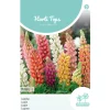 Horti Tops Moestuin>Lupinus Minarette mix