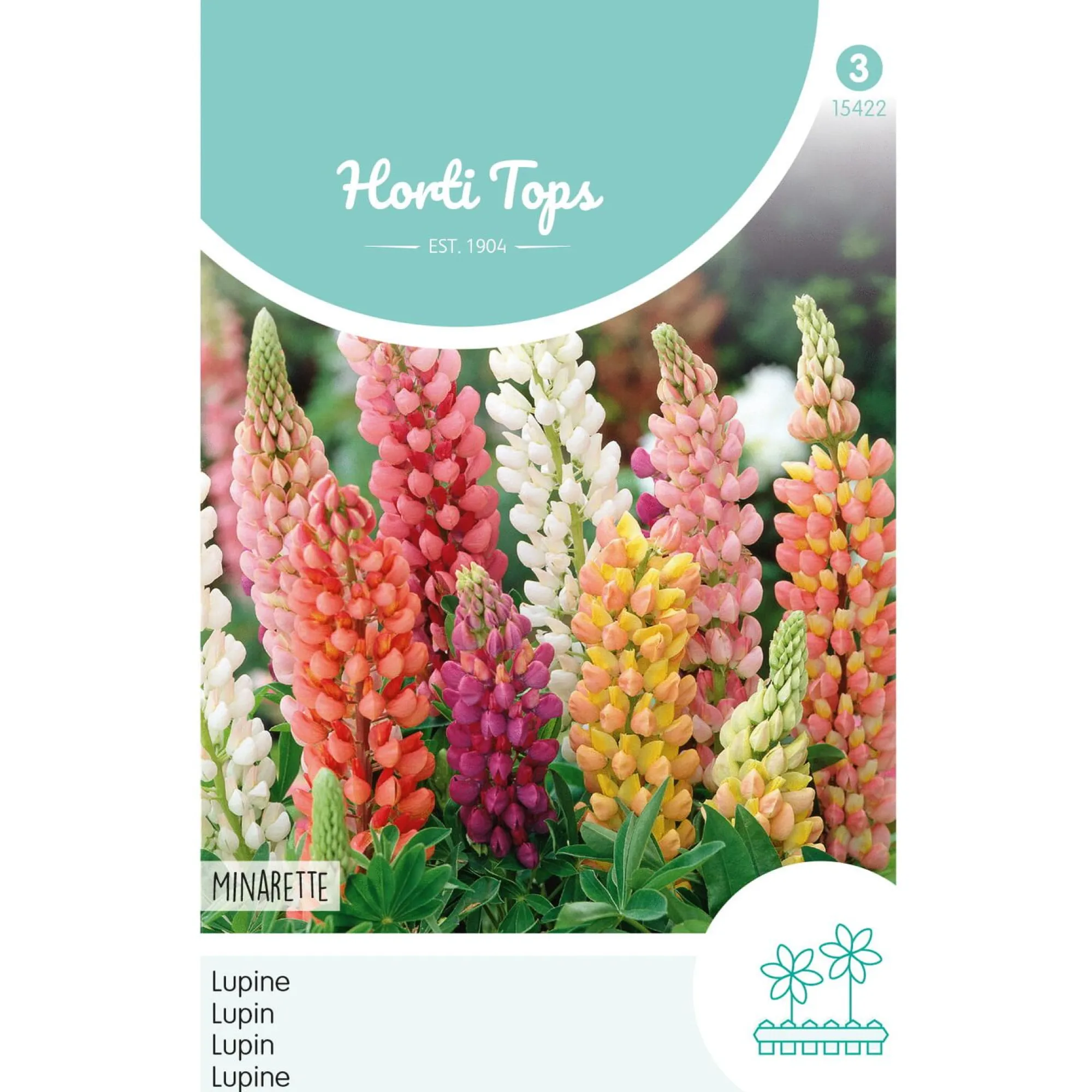 Horti Tops Moestuin>Lupinus Minarette mix