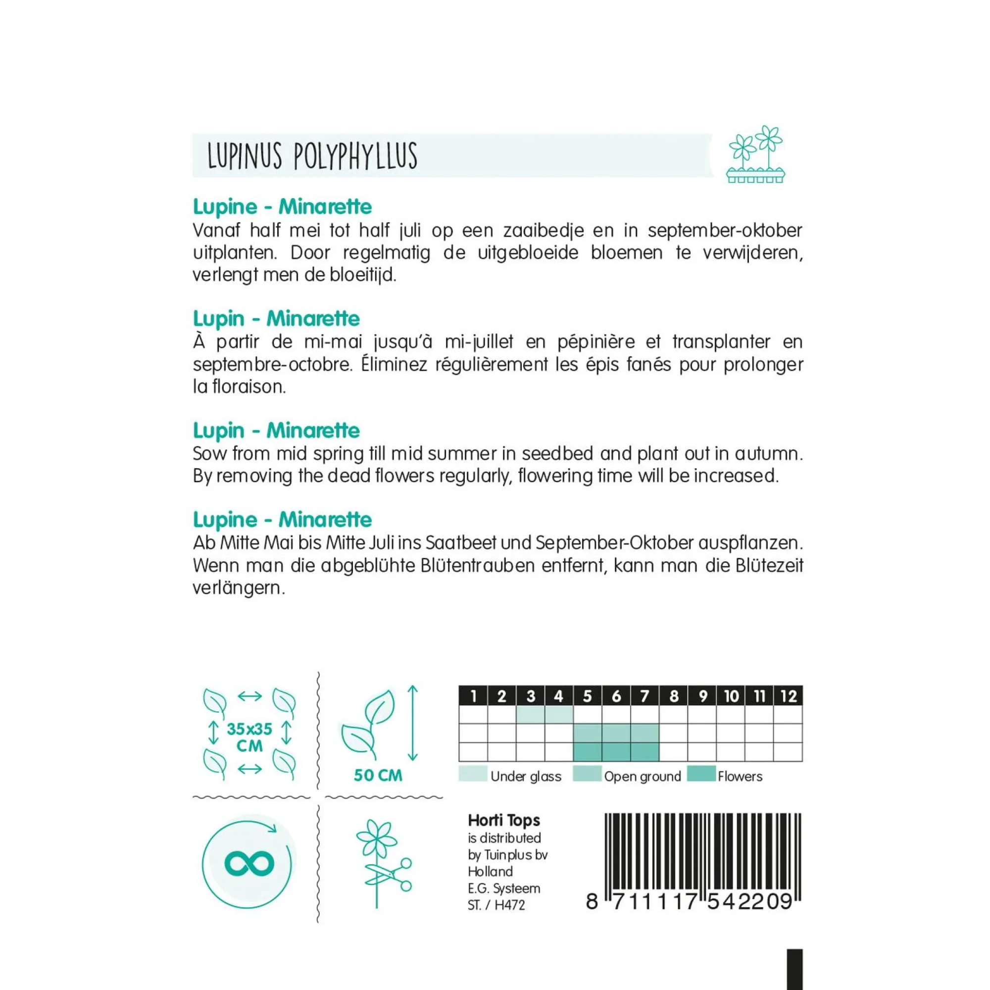 Horti Tops Moestuin>Lupinus Minarette mix