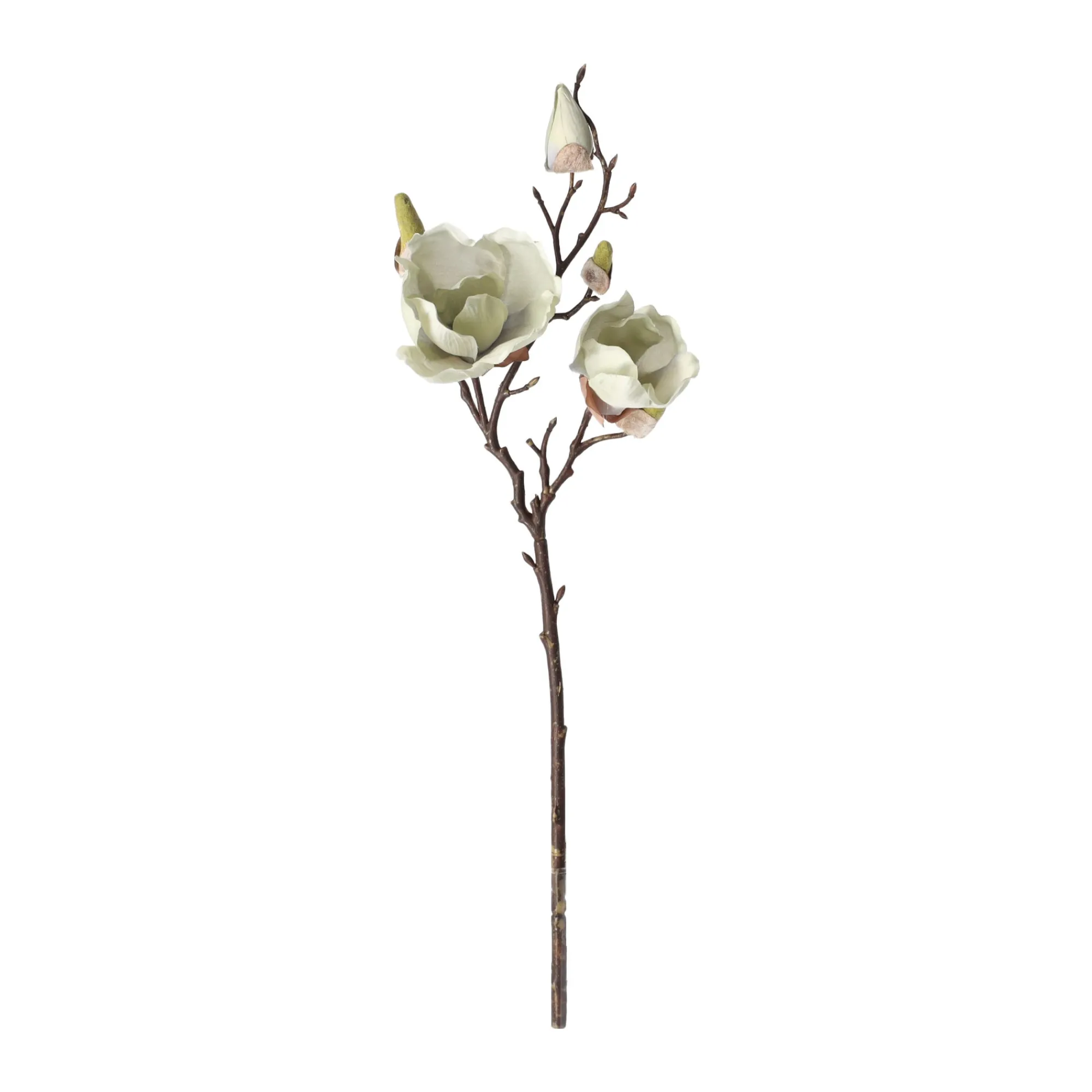 O'malley Kunstplanten En Kunstbloemen>Magnolia enkel 55 cm groen