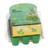 Buzzy Moestuin>Mini Greenhouse kitchen herbs 8