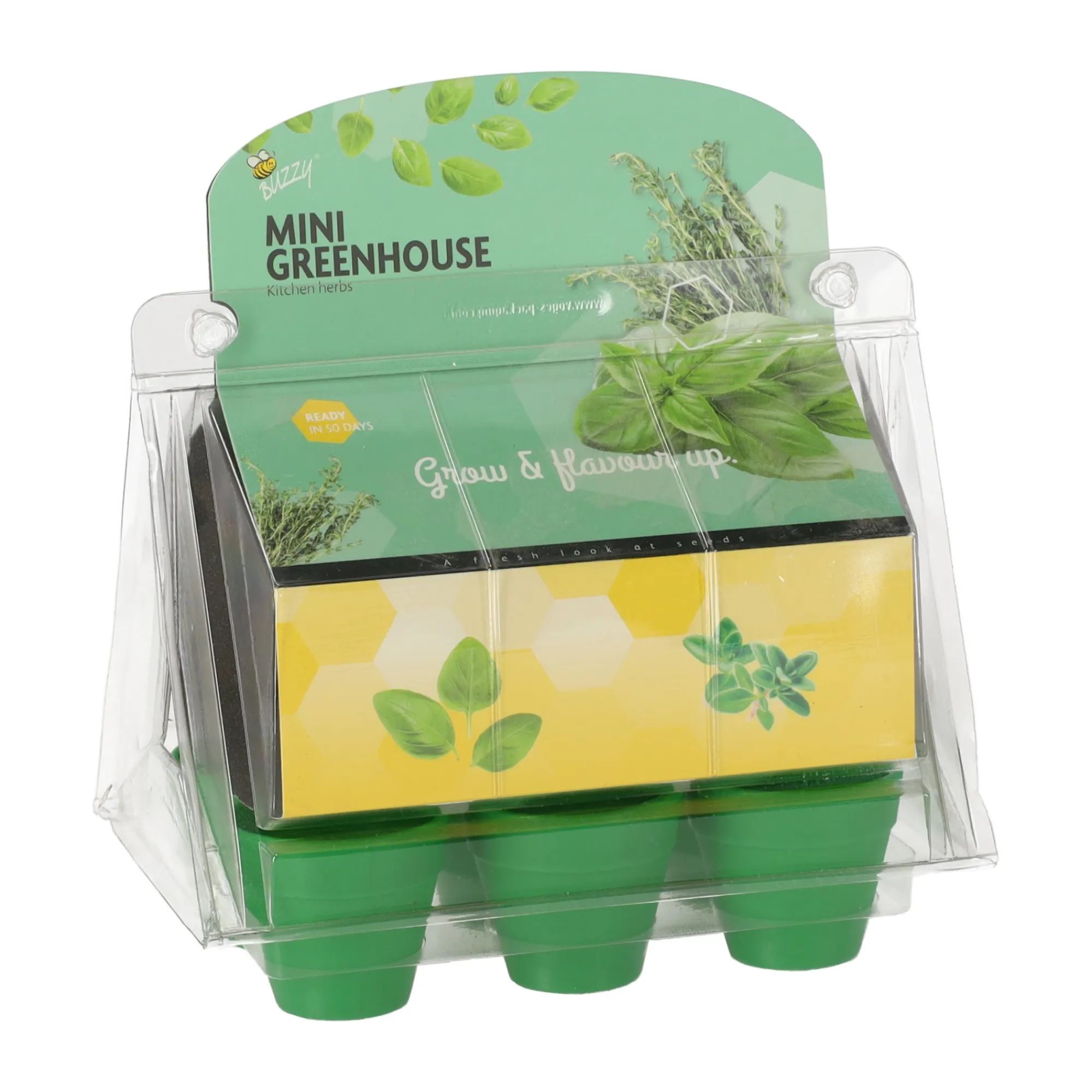Buzzy Moestuin>Mini Greenhouse kitchen herbs 8