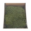 Natural Collections Woondecoratie|Kerstdecoratie>Mos box naturel 150g