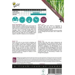 Buzzy Moestuin>Mosterdkool