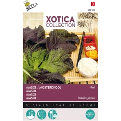 Buzzy Moestuin>Mosterdkool rood