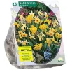 Baltus Bodemverbeteraars>Narcis Mini mix per 25