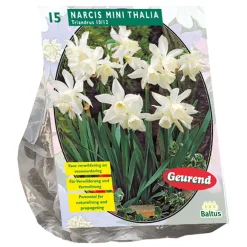 Baltus Bodemverbeteraars>Narcis Mini Thalia per 15