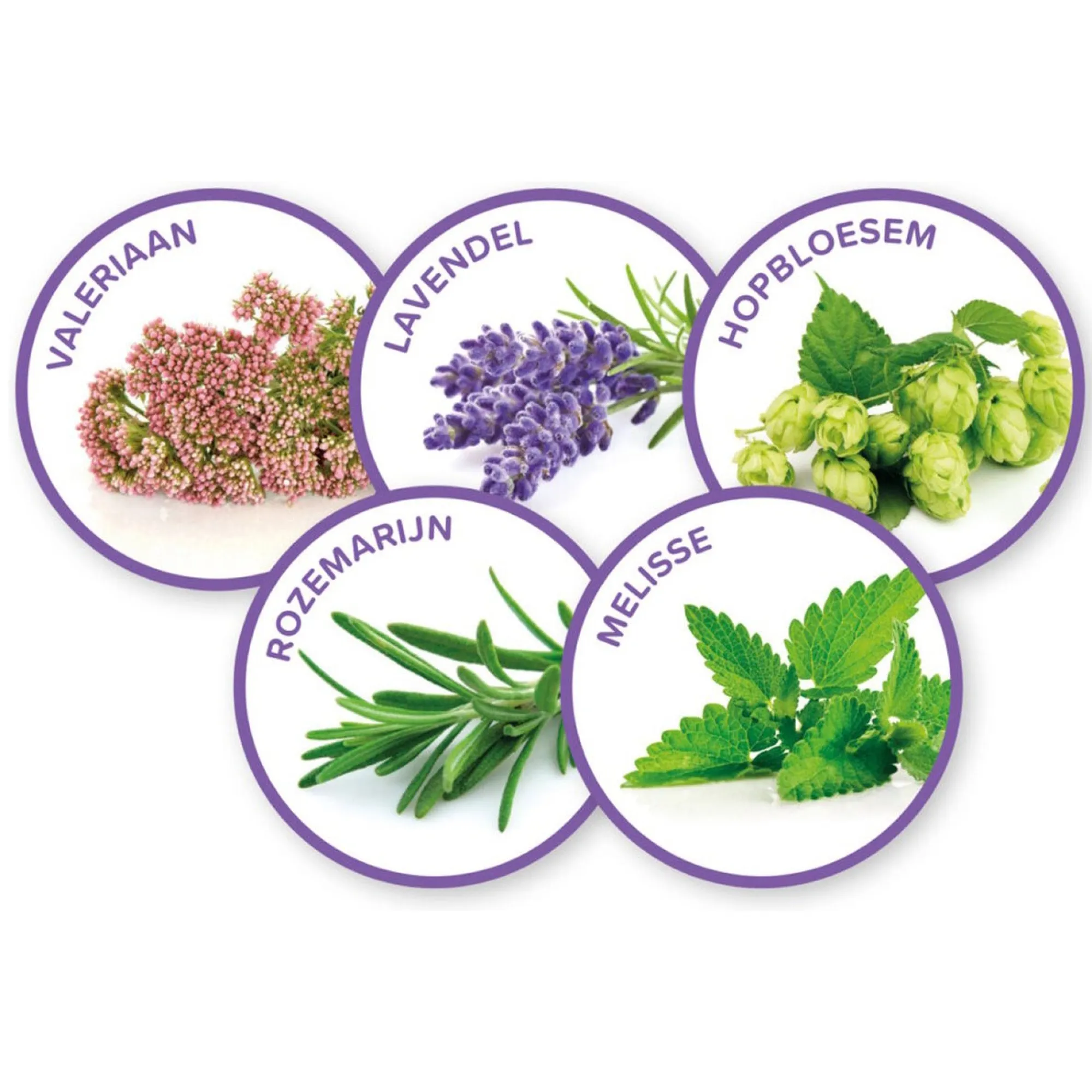 Beaphar Hondenverzorging>No Stress navulling hond