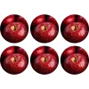 Natural Collections Koken & Tafelen>Onderzetter rond fruit 10 cm 6 assorti