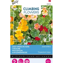 Buzzy Moestuin>Oost-Indische Kers Majus